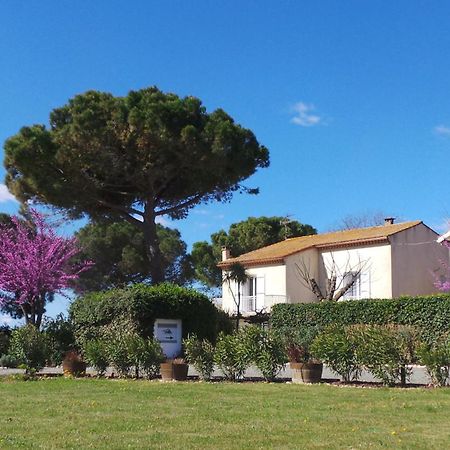A L'Oree Des Vignes Montady 외부 사진