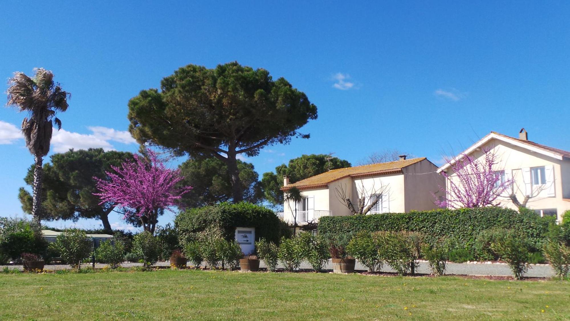 A L'Oree Des Vignes Montady 외부 사진