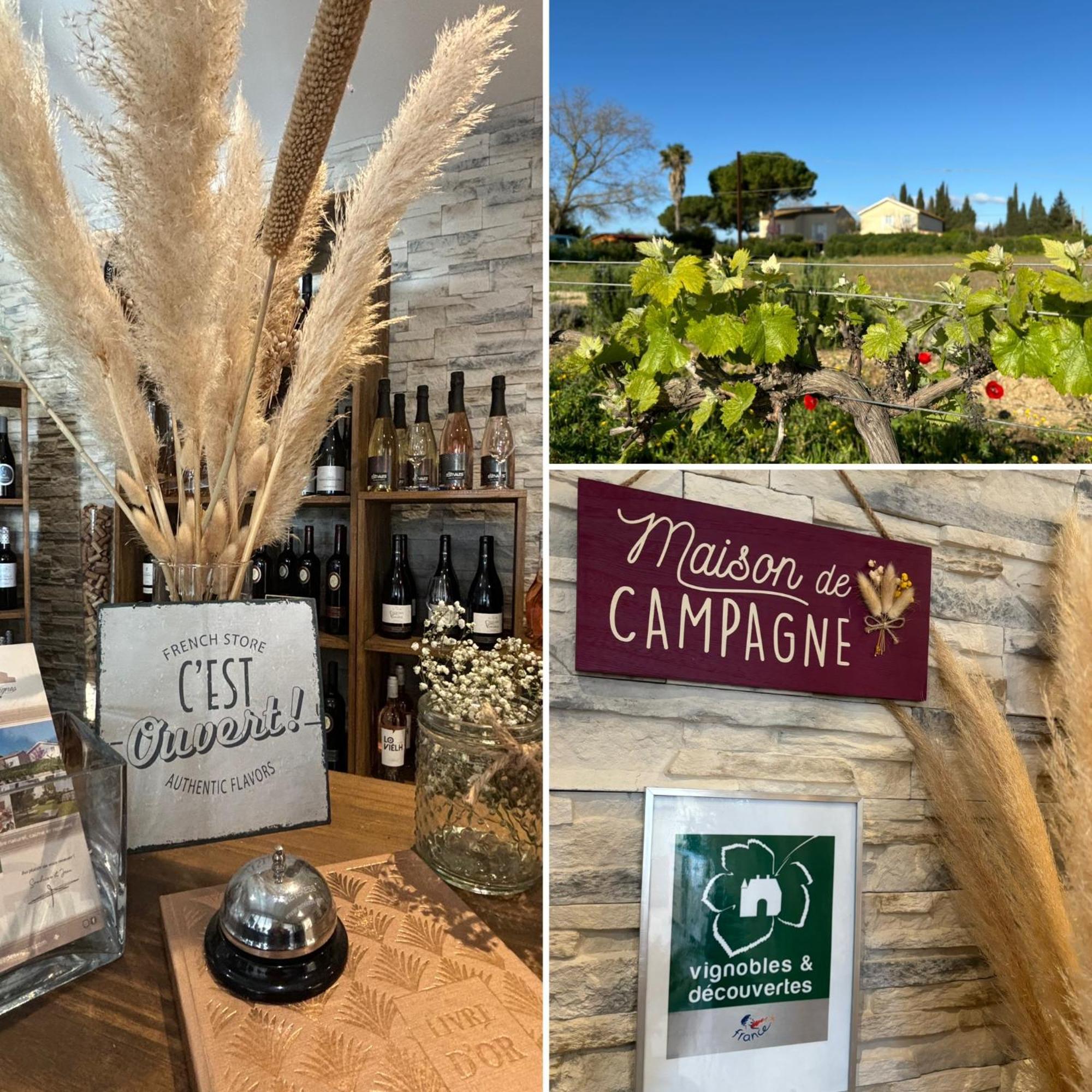 A L'Oree Des Vignes Montady 외부 사진