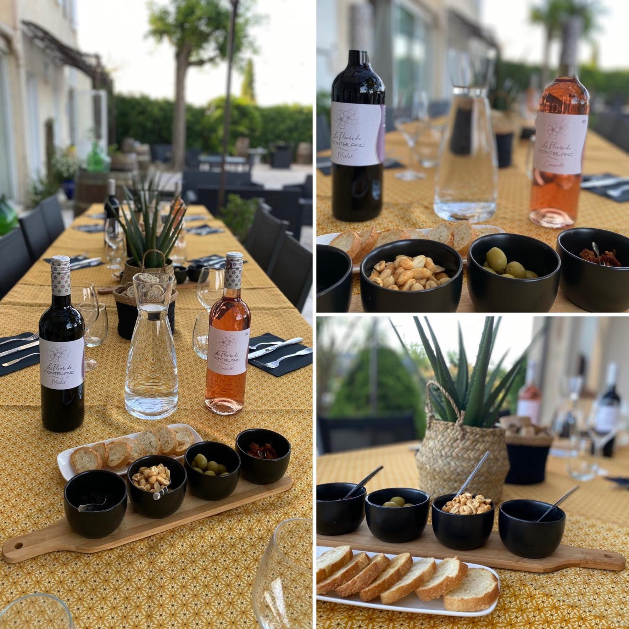 A L'Oree Des Vignes Montady 외부 사진